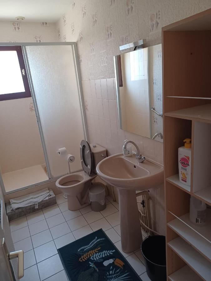 Appartement Dynamique Et Splendide à Bourgoin-Jallieu Extérieur photo